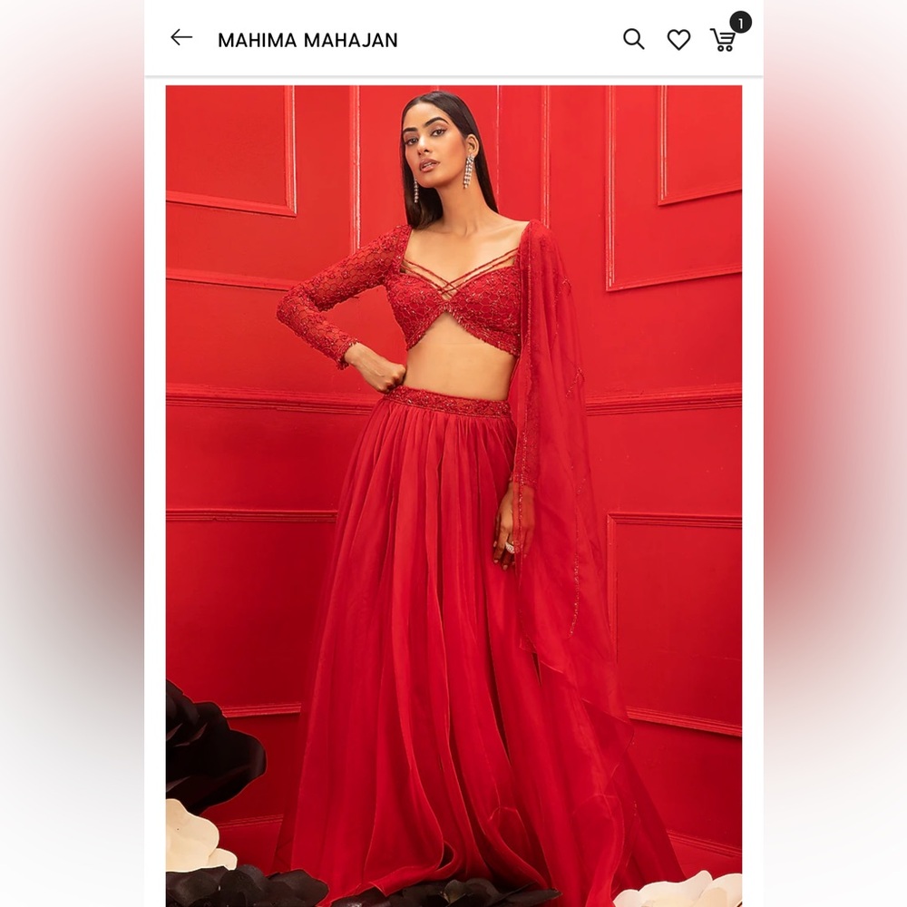 Mahima Mahajan Red Organza lehenga Bottom & Dupatta only